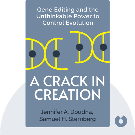 A Crack in Creation