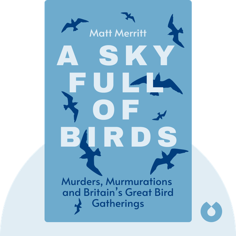A Sky Full of Birds