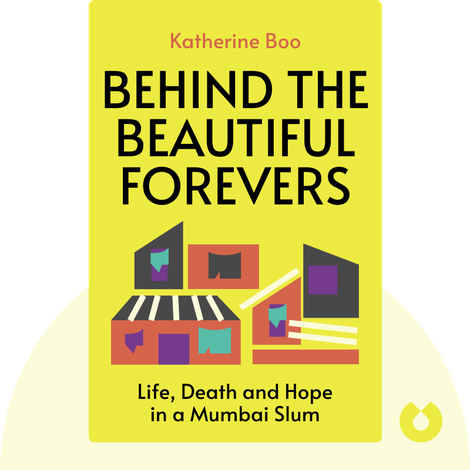 Behind the Beautiful Forevers
