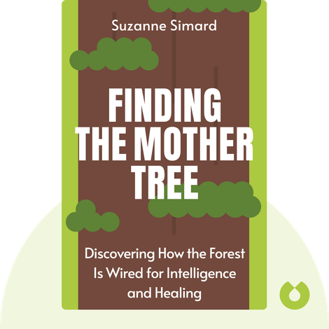 Finding the Mother Tree