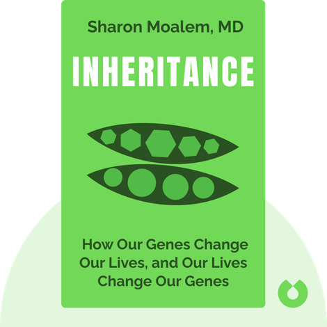 Inheritance