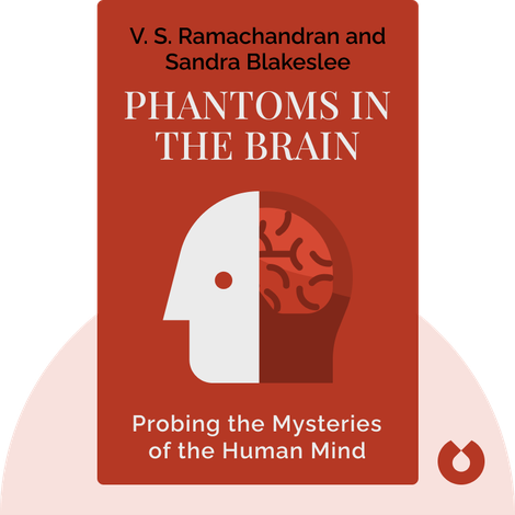 Phantoms in the Brain