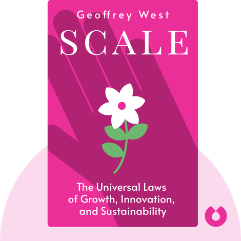 Scale