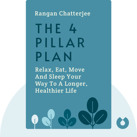 The 4 Pillar Plan