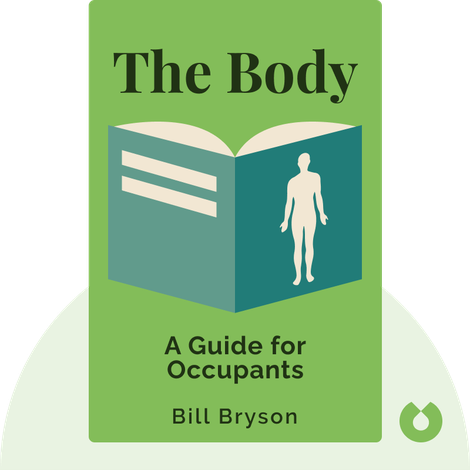 The Body
