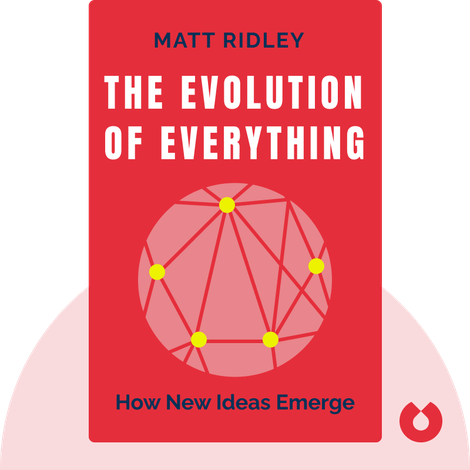 The Evolution of Everything