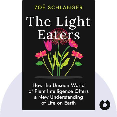 The Light Eaters