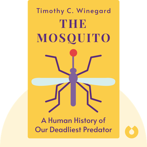 The Mosquito