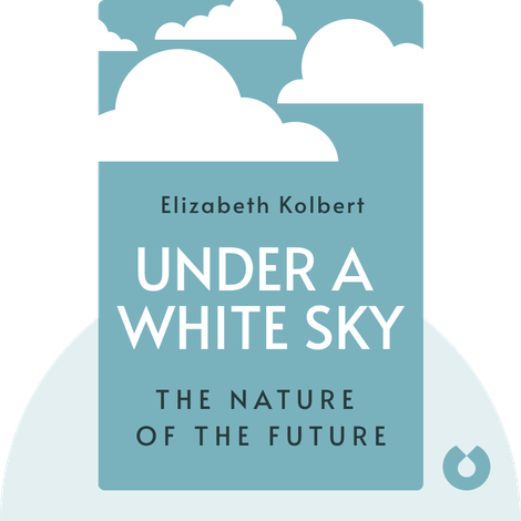 Under a White Sky