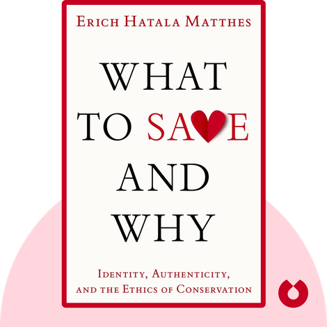 What to Save and Why