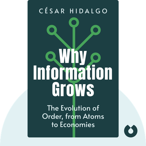 Why Information Grows