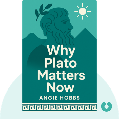Why Plato Matters Now